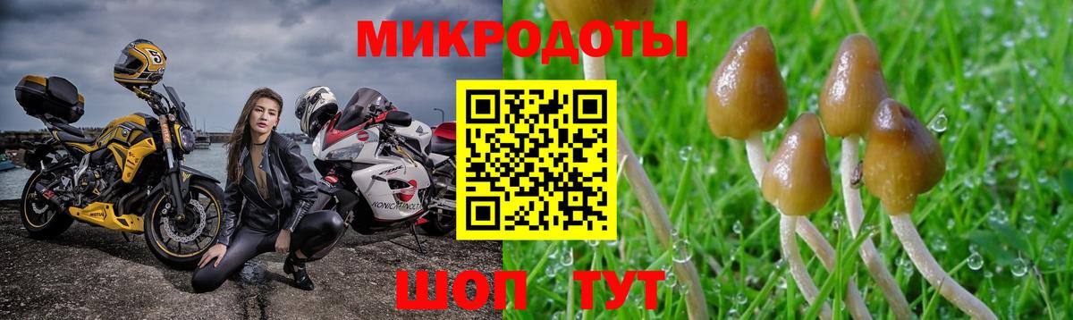Галлюциногенные грибы Magic Shrooms  Вход с VPN  Химки 